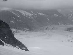 Aussicht vom Jungfrau Joch auf den Aletschgletscher in schwarz/weiss