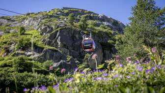 50% de réduction: Hospizbahn, Grimsel Hospiz