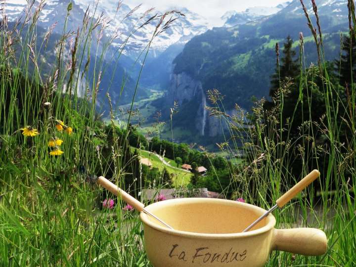 Fondue backpack