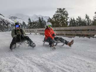 Deux personnes font de la luge en hiver dans la neige, de la Kleine Scheidegg à Wengen. À l'arrière-plan, on aperçoit des sapins et des arbres enneigés.
