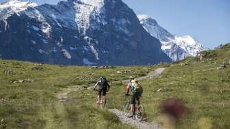 Mountain bike