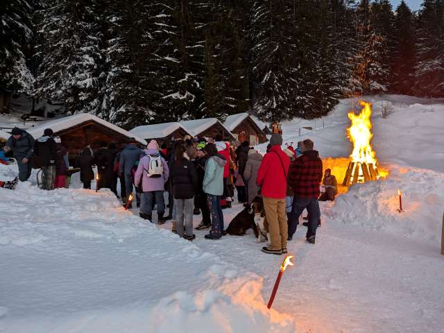 Christmas in the Forest