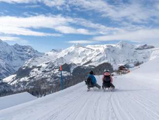 Rasante Schlittelabfahrt auf dem Fox Run auf dem Männlichen. Im Hintergrund erstreckt sich das weisse Bergpanorama.