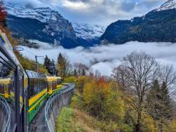 Die Wengernalpbahn fährt entlang der Hangstrecke oberhalb des Lauterbrunnentals. Nebel liegt im Tal, während Wälder und steile Felswände die Strecke begleiten.