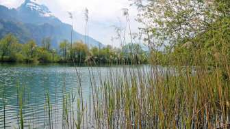 Chemin des perles de la nature
