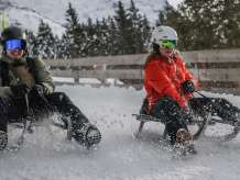 zwei Personen Schlitteln im Winter im Schnee von der Kleinen Scheidegg nach Wengen. Im Hintergrund sind verschneite Tannen und Bäume zu sehen.