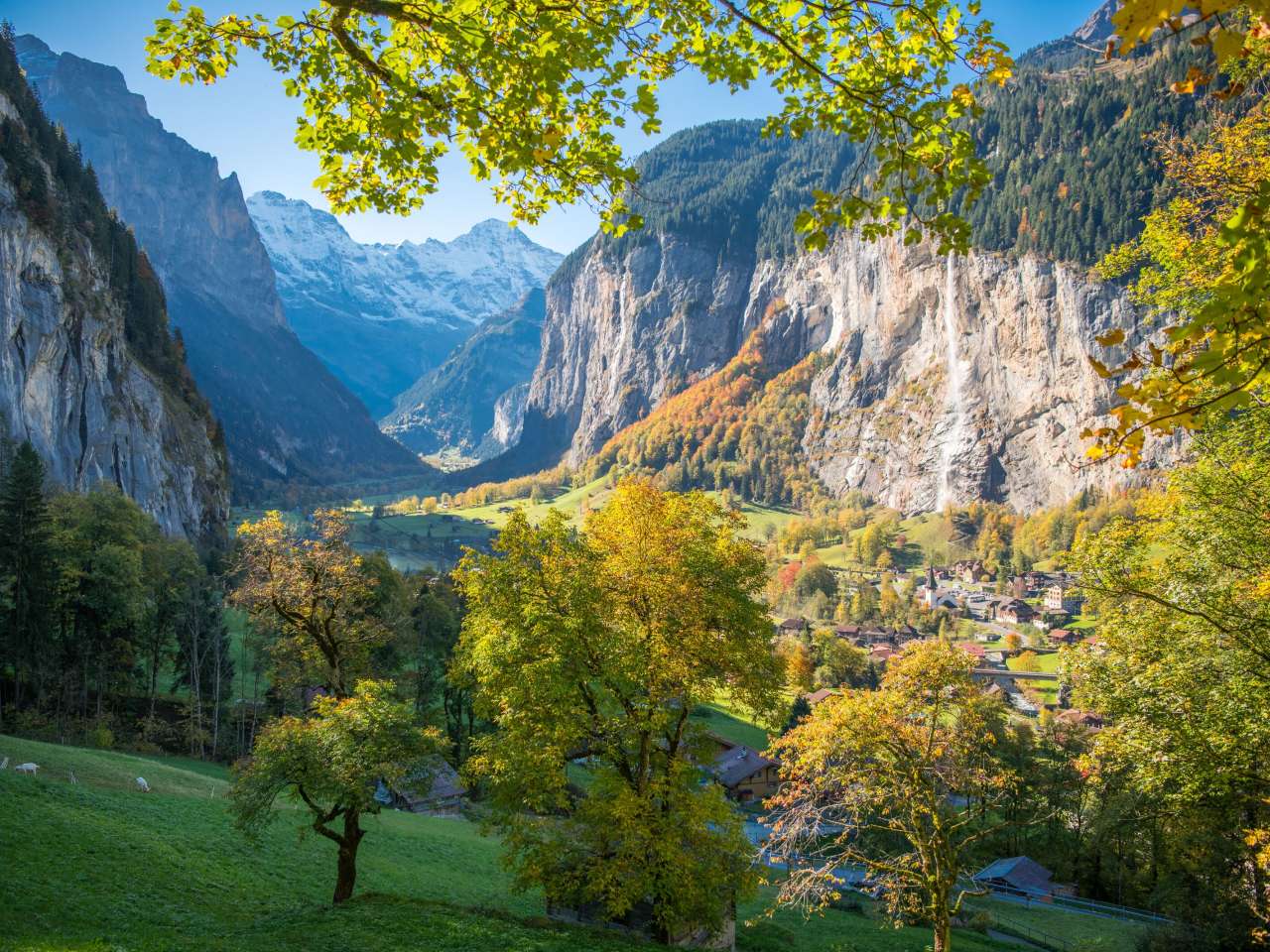 Sicht aufs Lauterbrunnental durch Bäume.