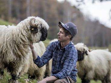 50% Rabatt: Führung Wollreich