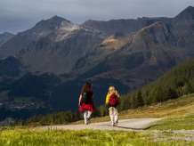 Zwei Wanderinnen gehen auf einem breiten Bergweg durch die offene Landschaft. Vor ihnen erheben sich markante, teils dunkel schattierte Berghänge, die von einzelnen Sonnenflecken und herbstlichen Farbtönen geprägt sind. Links im Schatten fällt der Blick auf Wengen.