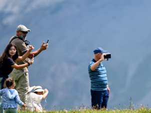 Mehrere Personen stehen auf einer grünen Alpweide und fotografieren eine einzelne Kuh. Die Szene zeigt die Begegnung von Gästen mit der traditionellen Alpwirtschaft.