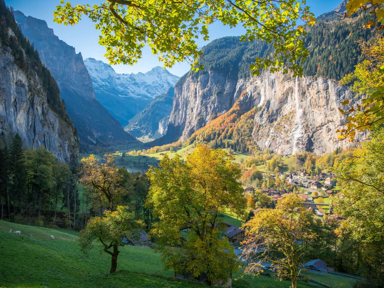 View of the Lauterbrunnen Valley through the trees.