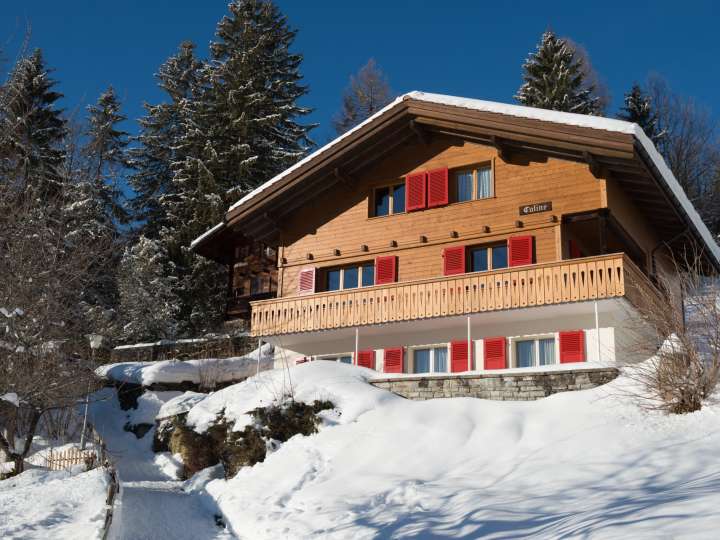 Chalet Caline Wengen 