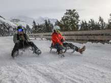 zwei Personen Schlitteln im Winter im Schnee von der Kleinen Scheidegg nach Wengen. Im Hintergrund sind verschneite Tannen und Bäume zu sehen.