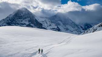 Snowshoe hikes