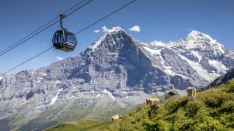 30% de réduction: Télépherique Grindelwald-Männlichen